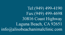 Aliso Beach Animal Clinic | 30816 Coast Highway, South Laguna, Ca 92651 | Tel: 949-499-4190 | Fax: 949-499-4698 